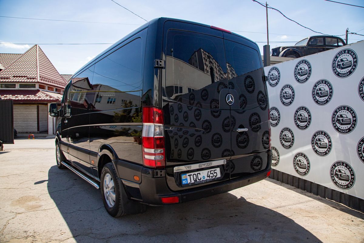 Mercedes Sprinter, 2010 (Negru)